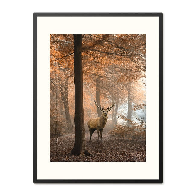 Sweet Living Poster in Lijst Hert in Herfstbos