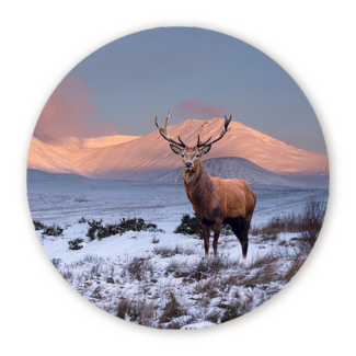 Sweet Living Wandcirkel Hert in Winterlandschap