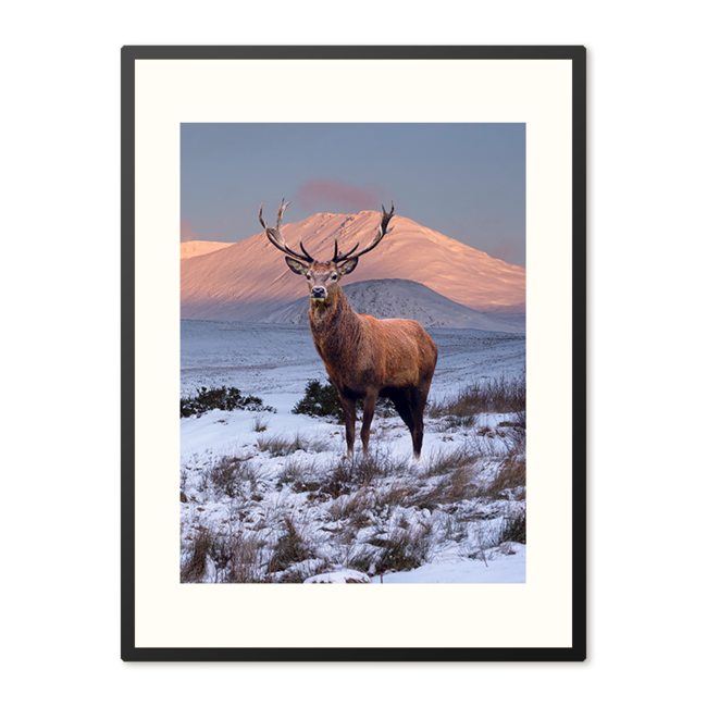 Sweet Living Poster in Lijst Hert in Winterlandschap