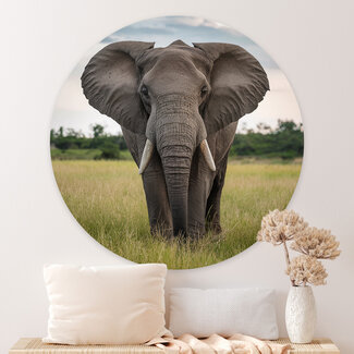 Sweet Living Wandcirkel Elephant Nature Sweet Living Wandcirkel Elephant Nature