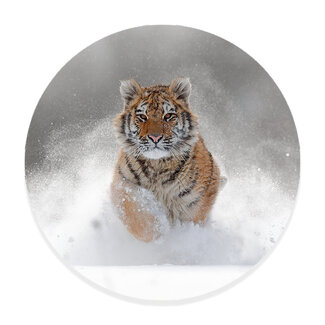 Sweet Living Muurcirkel Winterse Tijger