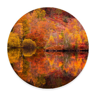 Sweet Living Muurcirkel Reflecties van de Herfst