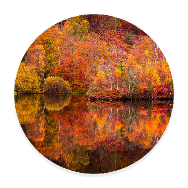 Sweet Living Muurcirkel Reflecties van de Herfst