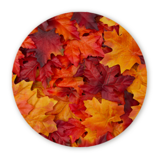 Sweet Living Muurcirkel Herfstbladeren