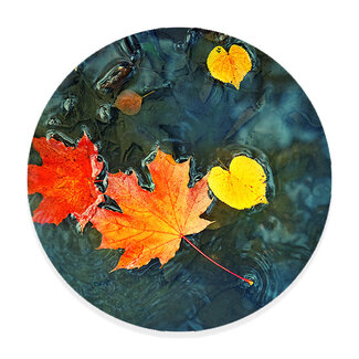 Sweet Living Muurcirkel Herfstbladeren in Donkerblauw Water