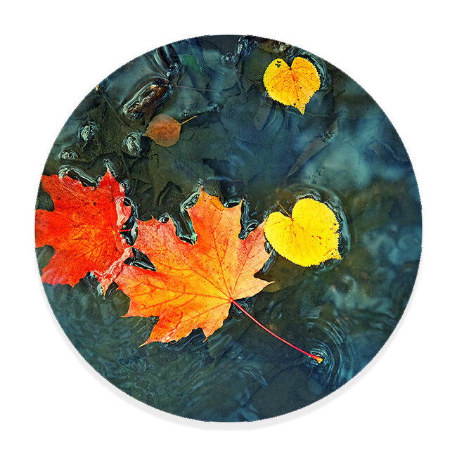 Sweet Living Muurcirkel Herfstbladeren in Donkerblauw Water