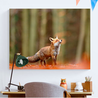 Sweet Living Schilderij Vos in het Woud - Liggend