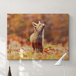 Sweet Living Schilderij Vos in Herfstlandschap - Liggend
