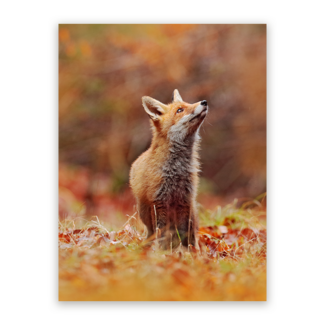 Sweet Living Schilderij Vos in Herfstlandschap - Staand