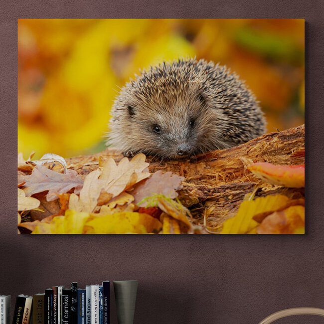 Sweet Living Schilderij Herfstsnuffel - Liggend