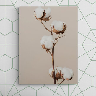 Sweet Living Schilderij Katoenplant - Staand