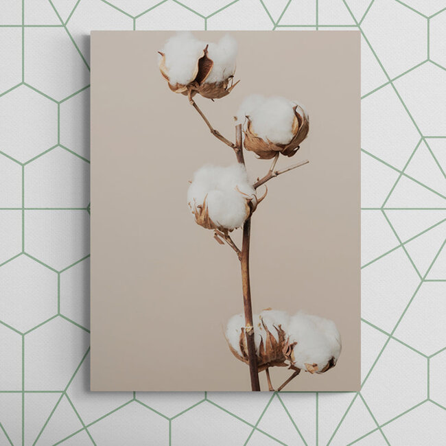 Sweet Living Schilderij Katoenplant - Staand