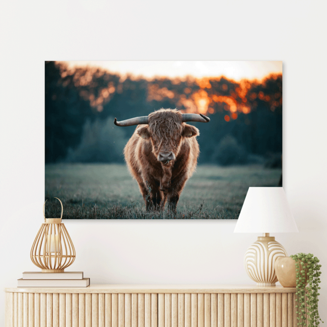 Sweet Living Schilderij Krachtig Grazend - Liggend