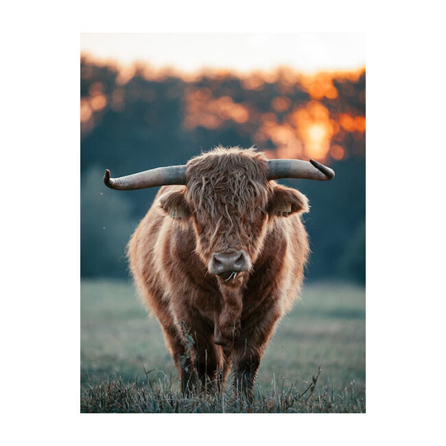 Sweet Living Schilderij Krachtig Grazend - Staand