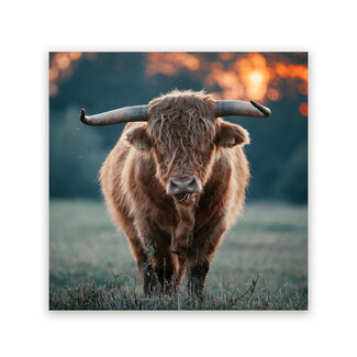 Sweet Living Schilderij Krachtig Grazend - Vierkant