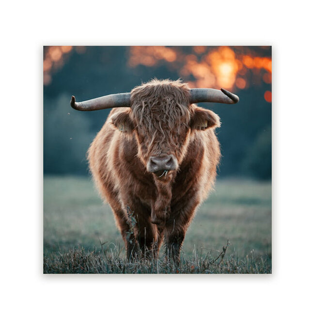 Sweet Living Schilderij Krachtig Grazend - Vierkant