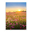 Sweet Living Schilderij Bloemenveld Landschap Zonsondergang - Staand