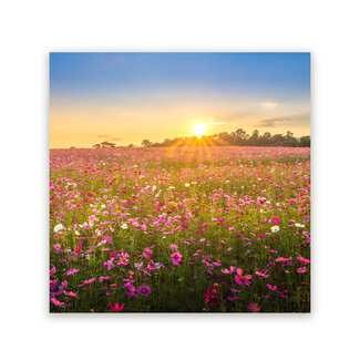 Sweet Living Schilderij Bloemenveld Landschap Zonsondergang - Vierkant