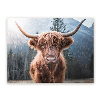 Sweet Living Schilderij Schotse Close-Up - Liggend