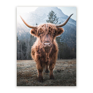 Sweet Living Schilderij Schotse Close-Up - Staand