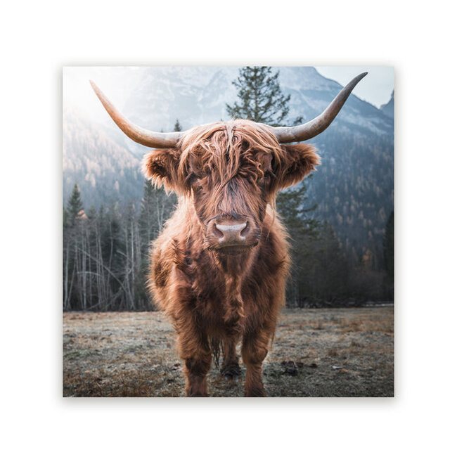 Sweet Living Schilderij Schotse Close-Up - Vierkant