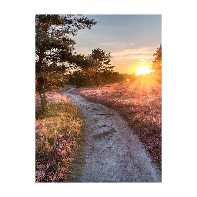 Sweet Living Schilderij Lüneburger Heide - Staand