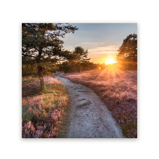Sweet Living Schilderij Lüneburger Heide - Vierkant
