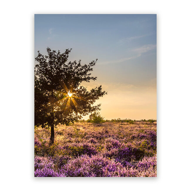 Sweet Living Schilderij Heide - Staand