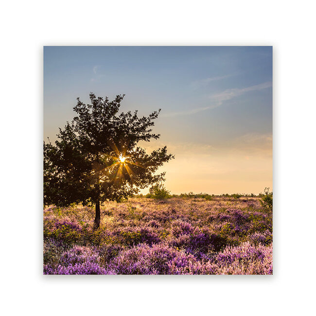 Sweet Living Schilderij Heide - Vierkant