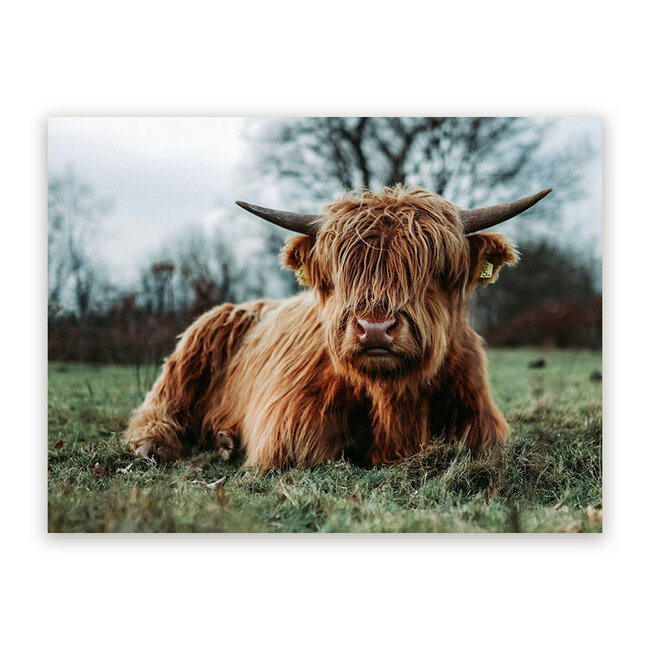 Sweet Living Schilderij Hooglander in Rust - Liggend