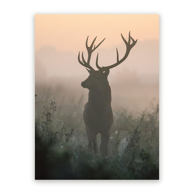 Sweet Living Schilderij Edelhert in de Mist - Staand
