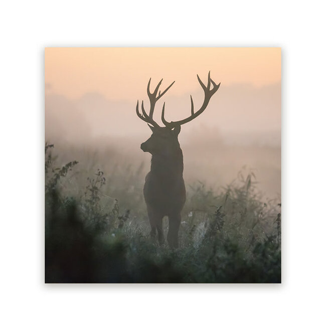 Sweet Living Schilderij Edelhert in de Mist - Vierkant