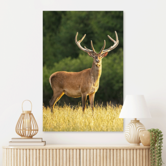 Sweet Living Schilderij Hert in de Zon - Staand