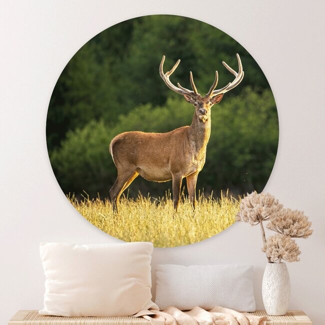 Sweet Living Muurcirkel Hert in de Zon