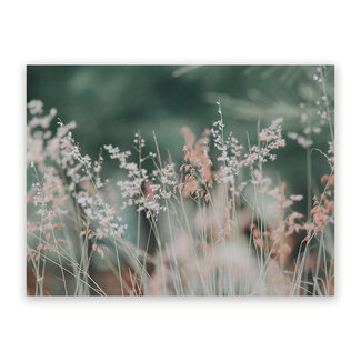 Sweet Living Schilderij Roze Bloemen in Grasweide - Liggend