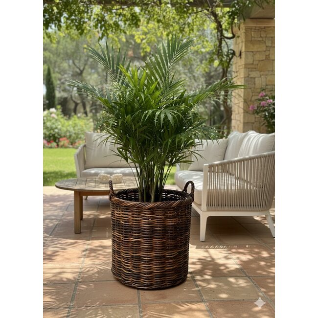 Sweet Living Hoge Ronde Mand Antiek - Rotan Plantenmand