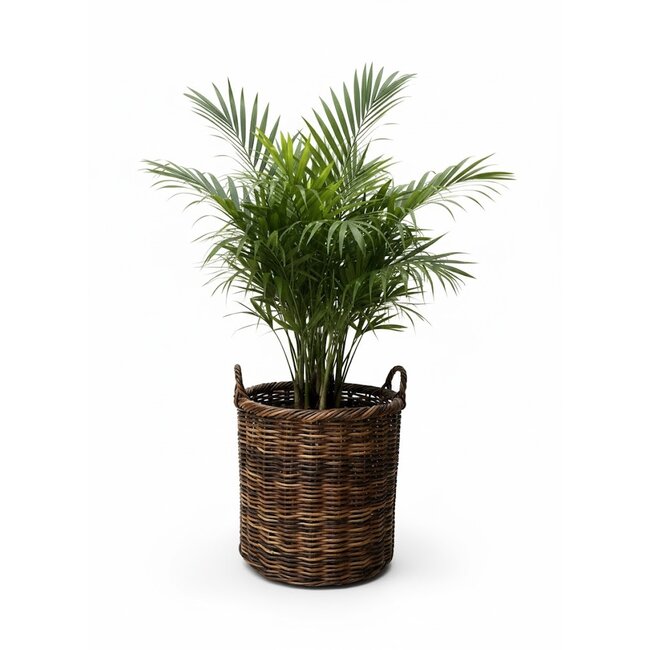 Sweet Living Hoge Ronde Mand Antiek - Rotan Plantenmand