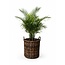 Sweet Living Hoge Ronde Mand Antiek - Rotan Plantenmand