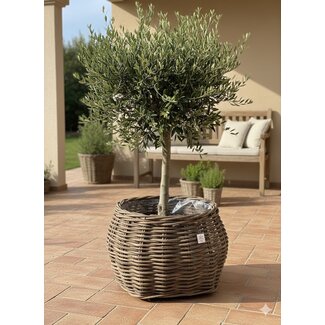 Sweet Living Rotan Plantenmand Winnie - Ø70xH56 cm