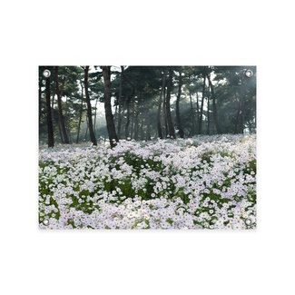 Sweet Living Tuinposter Veld met Madeliefjes