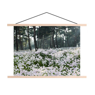Sweet Living Schoolplaat - Veld met Madeliefjes