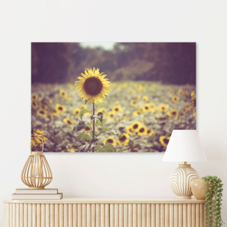 Sweet Living Schilderij Gouden Zonnebloemveld