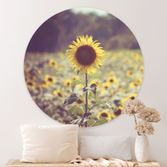 Sweet Living Wandcirkel Gouden Zonnebloemveld