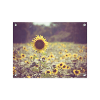 Sweet Living Tuinposter Gouden Zonnebloemveld