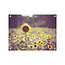 Sweet Living Tuinposter Gouden Zonnebloemveld