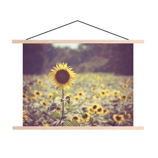 Sweet Living Schoolplaat - Gouden Zonnebloemveld