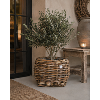 Sweet Living Rotan Plantenmand Wander - Ø70xH56 cm - Plantenbak