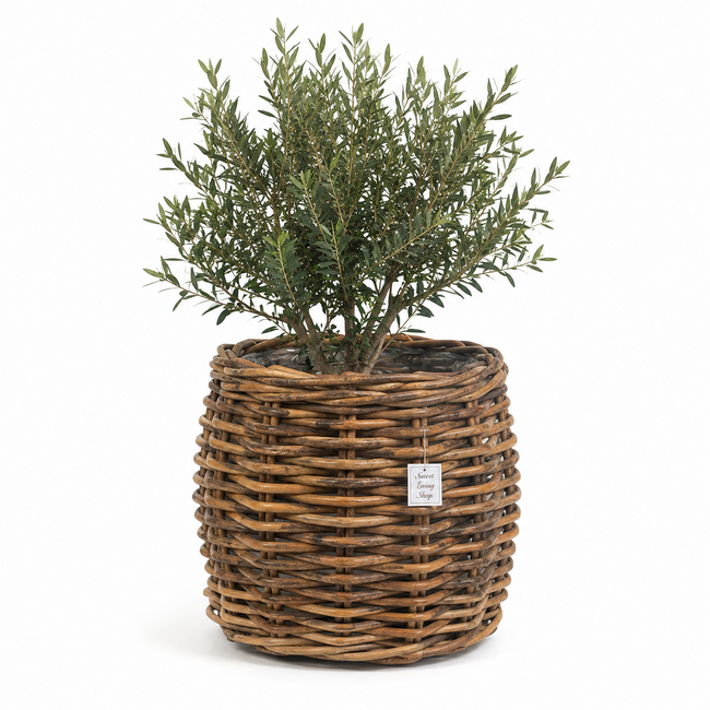 Sweet Living Rotan Plantenmand Wander - Ø42xH50 cm - Plantenbak