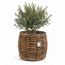 Sweet Living Rotan Plantenmand Wander - Ø42xH50 cm - Plantenbak