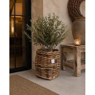 Sweet Living Rotan Plantenmand Wander - Ø42xH50 cm - Plantenbak